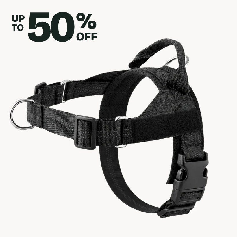 El arnés antitirones para perro hale & hound en negro, Hasta un 50% de descuento