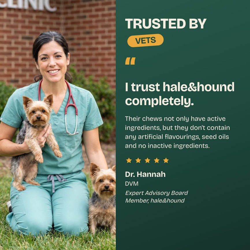 Con la confianza de los veterinarios: confío plenamente en hale & hound. Dra. Hannah, veterinaria, miembro del consejo asesor de expertos de hale & hound.