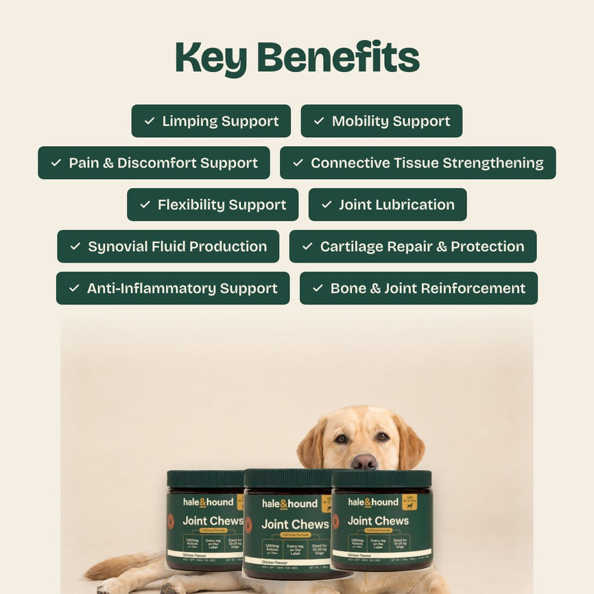 Beneficios clave: ayuda con la cojera, apoyo a la movilidad, alivio del dolor y las molestias, refuerzo del tejido conectivo, apoyo a la flexibilidad, lubricación articular, producción de líquido sinovial, reparación y protección del cartílago, acción antiinflamatoria y refuerzo de huesos y articulaciones.