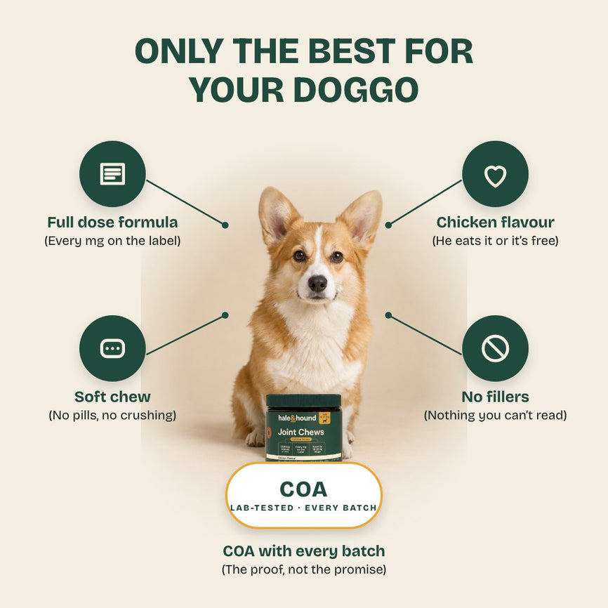 Solo lo mejor para tu perro: fórmula con dosis completa, sabor a pollo, snack blando, sin rellenos, certificado de análisis (COA) con cada lote.